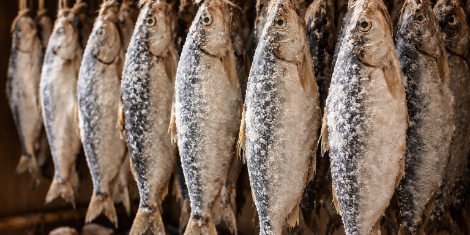 5 conservazione pesce